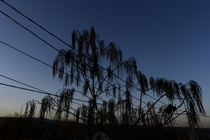 Image-preview_300x200