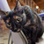 Image-square_50