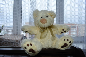 Image-preview_300x200