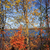 Image-square_50