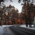Image-square_50