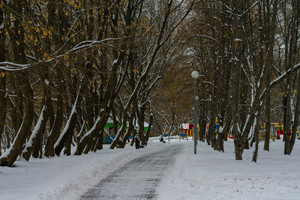 Image-preview_300x200