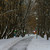 Image-square_50