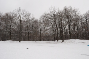 Image-preview_300x200