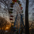 Image-square_50