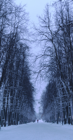 Image-preview_300x200