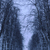 Image-square_50