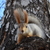 Image-square_50