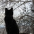 Image-square_50