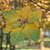 Image-square_50