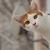 Image-square_50
