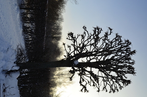 Image-preview_300x200
