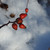 Image-square_50