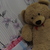 Image-square_50