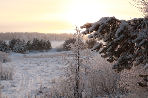 Image-preview_300x200