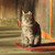 Image-square_50