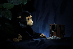 Image-preview_300x200