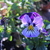 Image-square_50