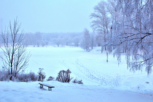 Image-preview_300x200