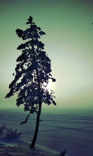 Image-preview_300x200