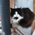 Image-square_50