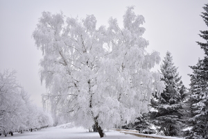 Image-preview_300x200