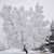 Image-square_50