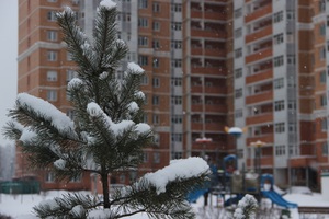 Image-preview_300x200