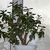 Image-square_50