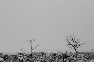 Image-preview_300x200