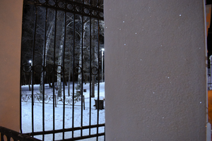 Image-preview_300x200