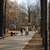 Image-square_50
