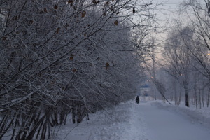 Image-preview_300x200