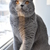 Image-square_50