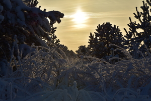 Image-preview_300x200