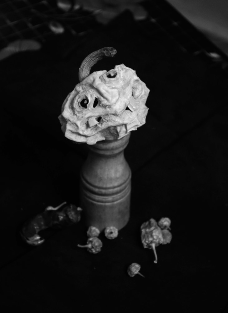 Image-normal