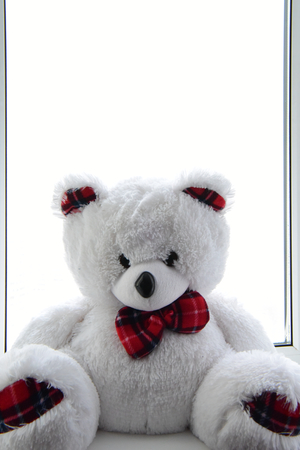 Image-preview_300x200