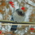 Image-square_50