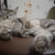 Image-square_50