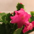 Image-square_50