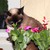 Image-square_50