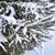 Image-square_50