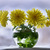 Image-square_50