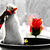 Image-square_50