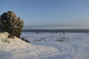 Image-preview_300x200