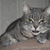 Image-square_50