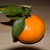 Image-square_50