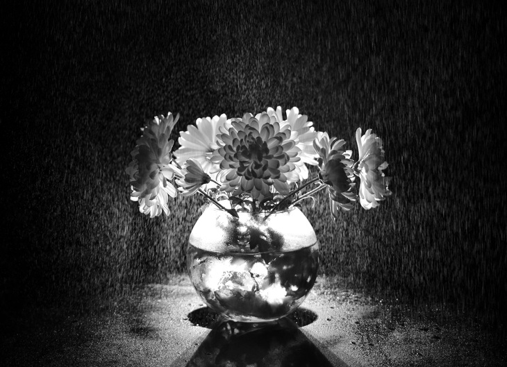 Image-normal