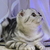 Image-square_50