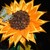 Image-square_50